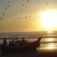 Foto de Costa da Caparica