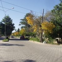 Foto de Tarija - Bolivia