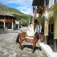 Foto de Loja