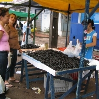 Foto de Maringá