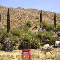 Foto de Ancash