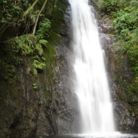 Foto de Caracas