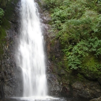 Foto de Caracas
