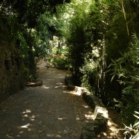 Foto de Caracas