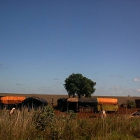 Foto de Campo Grande