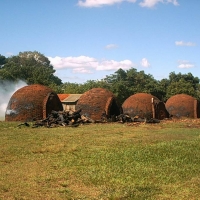 Foto de Campo Grande