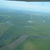 Foto de Pantanal