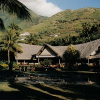 Foto de MOOREA