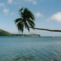 Foto de MOOREA