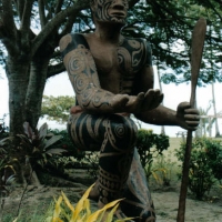 Foto de MOOREA