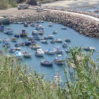 Foto de VILA NOVA DE MIL FONTES