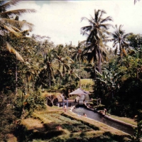 Foto de Bali