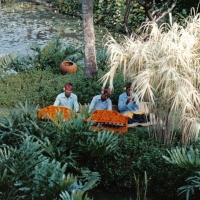 Foto de Bali