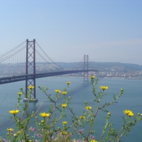 Foto de ALMADA
