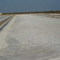 Foto de TAVIRA