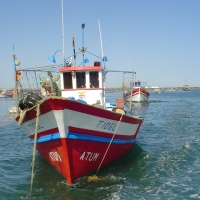 Foto de TAVIRA