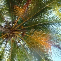 Foto de Miches, R.D.