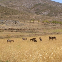 Foto de Almería