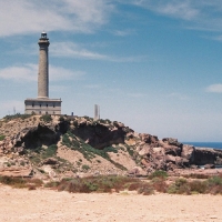 Foto de Palos
