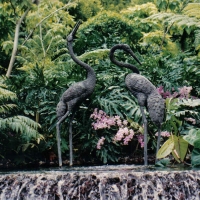 Foto de Singapur