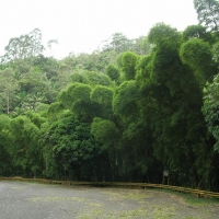 Foto de Reserva Toro Negro