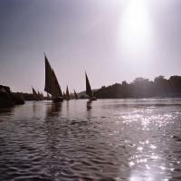 Foto de Luxor