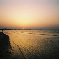 Foto de Skanes-Monastir