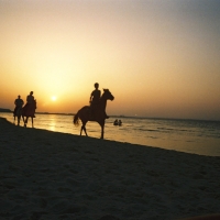 Foto de Skanes-Monastir