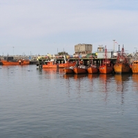 Foto de Mar del Plata