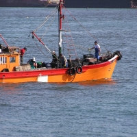 Foto de Mar del Plata