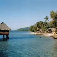 Foto de MOOREA