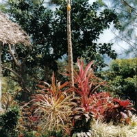 Foto de BORA-BORA