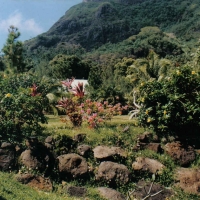 Foto de BORA-BORA