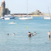 Foto de Collioure