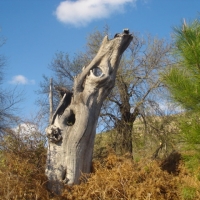 Foto de Ávila