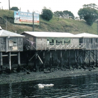 Foto de Ancud-Chiloe