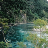 Foto de Puerto Varas
