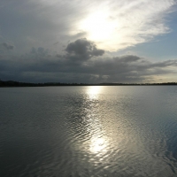 Foto de Manati