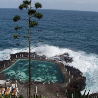 Foto de Puerto de la Cruz - Tenerife