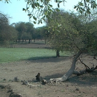Foto de villa montes