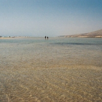 Foto de Fuerteventura