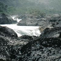 Foto de Puerto Varas