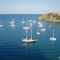 Foto de Collioure