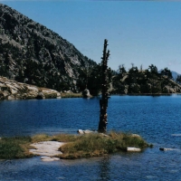 Foto de Aigües Tortes