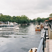 Foto de Tigre