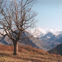 Foto de Villaverde - Amieva