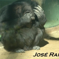Foto de Jerez  de la Frontera