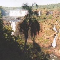 Foto de P.Nacional de Iguazú