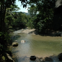 Foto de Amazonia