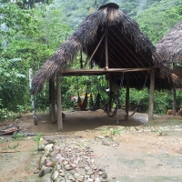 Foto de Amazonia